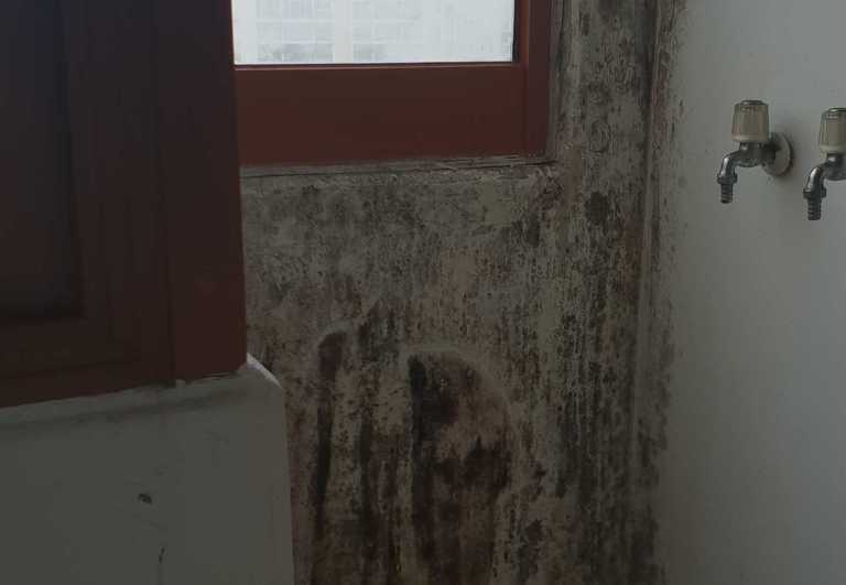 작업사진전후입니다